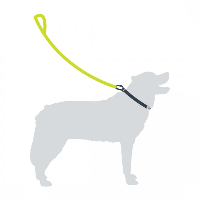 mp-rope-dog-lead-illustration