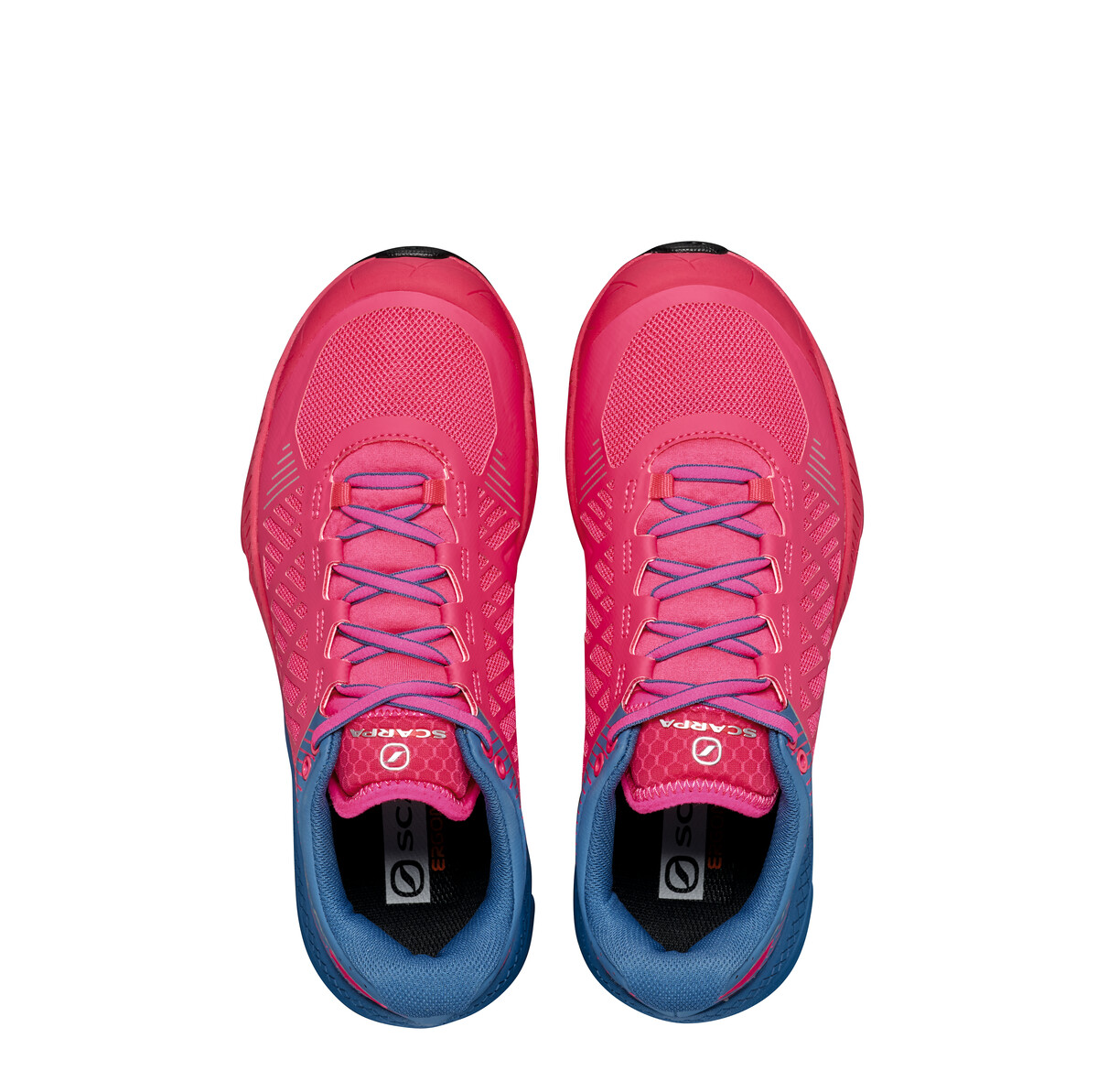 33072-352-4_05_SPI-ULT-W_Ros-BlS_Spin Ultra WMN _ Rose Fluo - Blue Steel